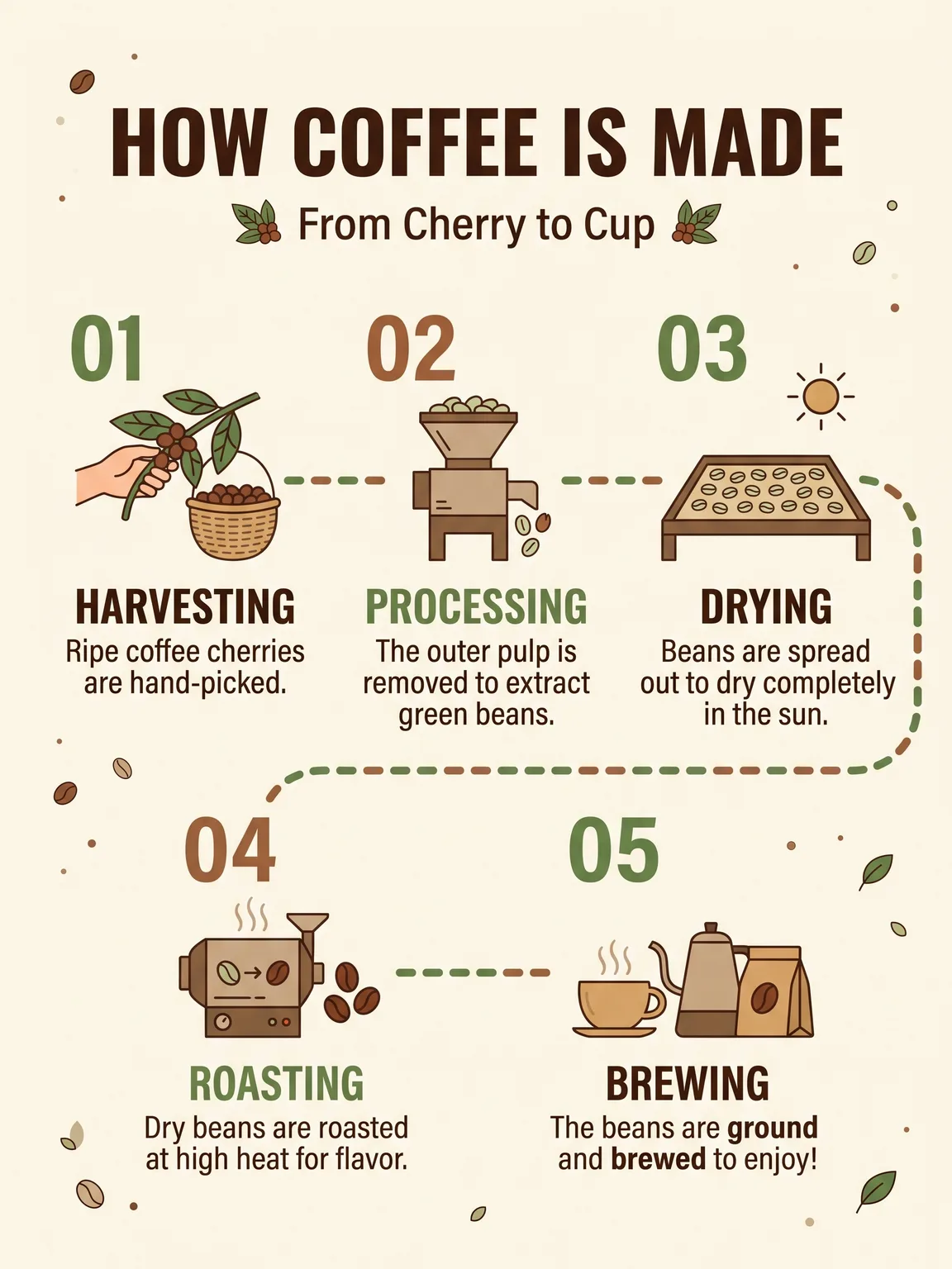 Five-step coffee process infographic on a cream background – Nano Banana 2.1 example, 3:4